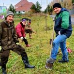 Активисты «Единой России» высадили деревья у детской площадки в Кемерове
