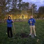 «Аллея Отцов» появилась в стерлитамакском парке Содовиков