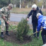 «Единая Россия» благоустроила «Аллею единства» в Славяносербске (ЛНР)