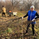 Единороссы Кондинского района подготовили яблоневый сад к зиме