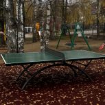 При поддержке «Единой России» для спортивных площадок в Бежецке Тверской области приобрели инвентарь