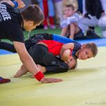 Состоялось первенство Орлиновского муниципального округа по спортивной борьбе грэпплинг