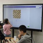 В Магадане в честь Дня народного единства пройдет турнир «Шахматная партия единства»