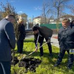 Михаил Зубарев оценил итоги первого этапа благоустройства сквера у Центра культуры в Асбесте