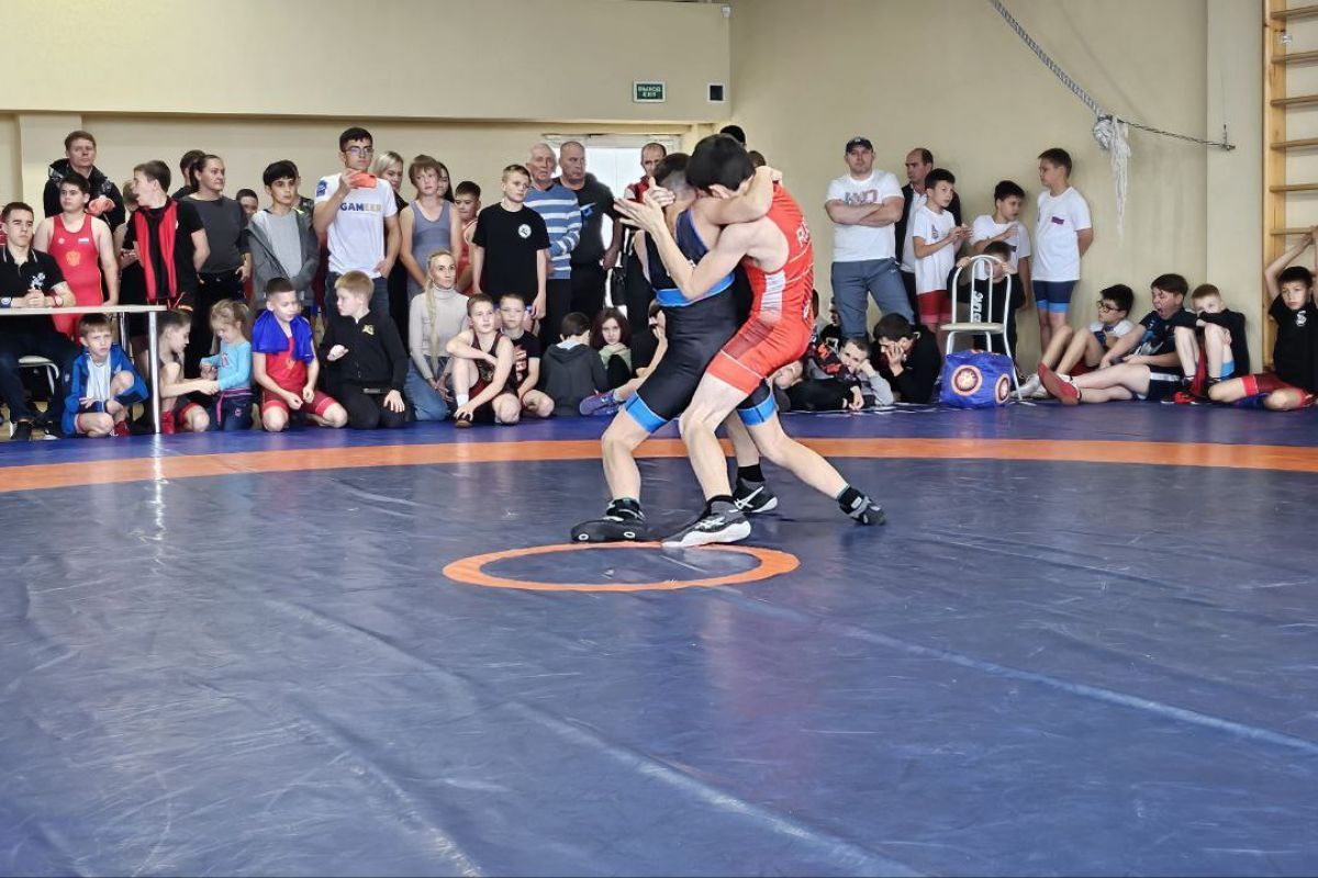 При содействии «Единой России» в Перми состоялся региональный этап всероссийского фестиваля «Борьба в школу»