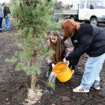 В Сасовском округе ко Дню Отца высадили саженцы