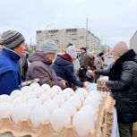 Более 11 тысяч ульяновцев посетили продовольственную ярмарку в Заволжском районе
