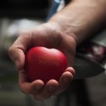 Воронежские молодогвардейцы присоединились к донорской акции