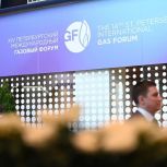 Александр Ищенко: «Государственные программы догазификации на Дону будут продолжены»