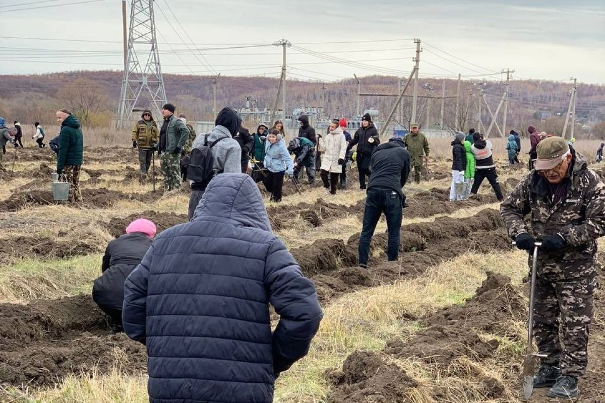 Депутаты «Единой России» помогают восстановить «зеленые легкие» Приамурья