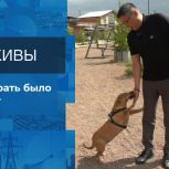 «Единая Россия» в лицах: работа депутата Михаила Босхолова показана на Первом канале