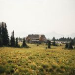 Стартовал Первый Всероссийский Агродиктант