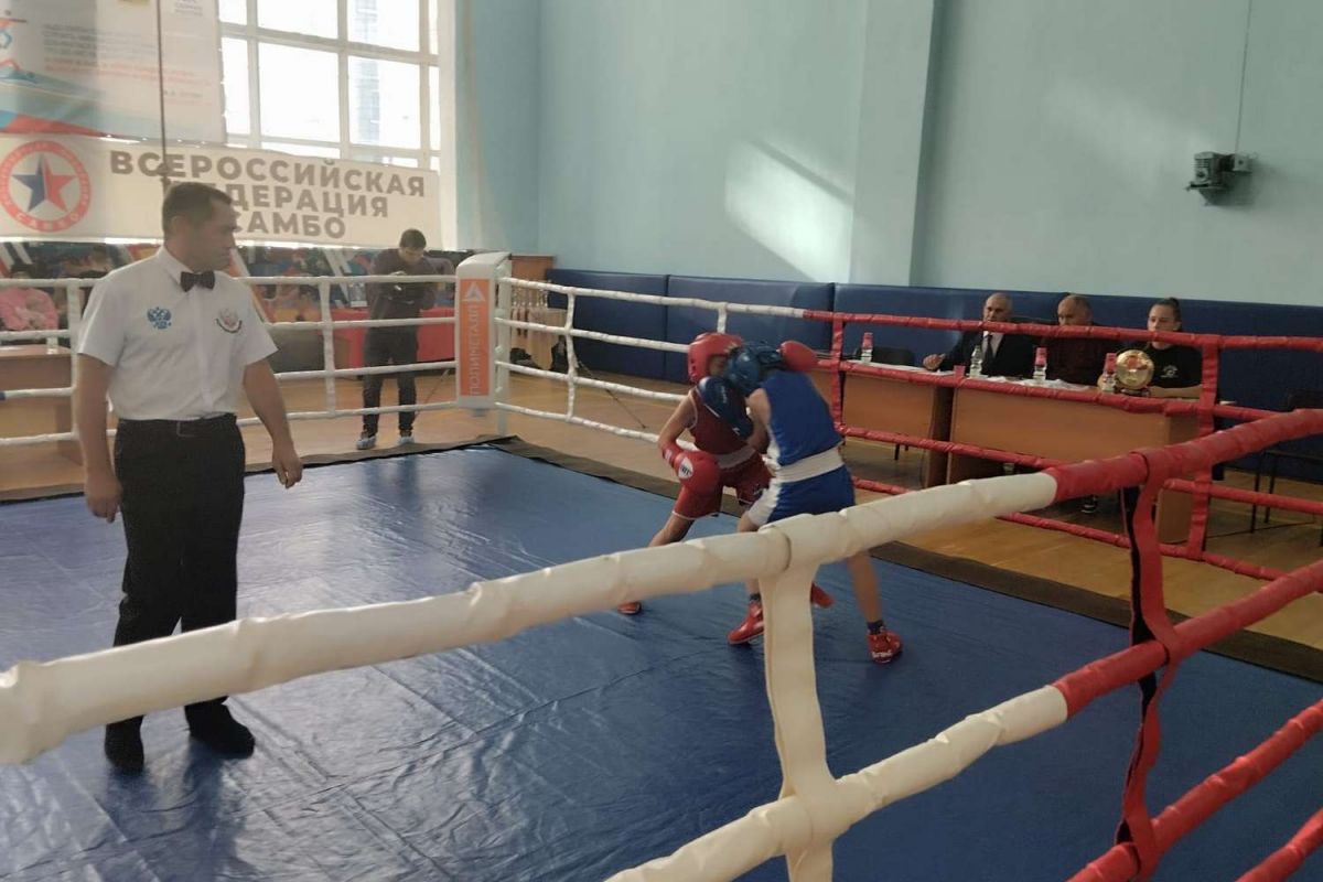 В Амурском районе при поддержке «Единой России» прошли турниры по боксу