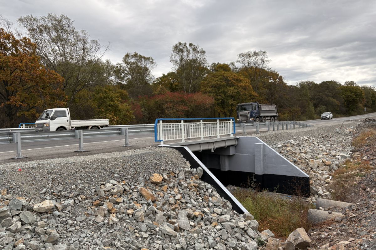 Пять мостов по дороге в Находку ремонтируют в Приморье по народной программе «Единой России»