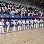 При содействии «Единой России» в Екатеринбурге состоялся чемпионат по тхэквондо среди детей