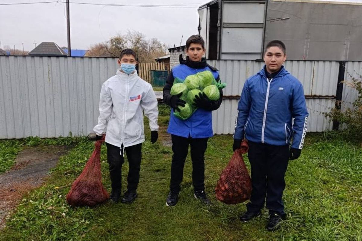 Единороссы и молодогвардейцы доставили овощные наборы жителям Белова