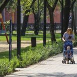 В 2026 году на страховые выплаты по временной нетрудоспособности предусмотрено почти 1,4 триллиона рублей