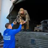 В сентябре подмосковные единороссы отправили в зону СВО более 720 тонн грузов