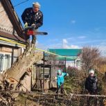 Единороссы Чистопольского района помогли ветерану в благоустройстве придомовой территории