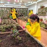 Юных новоуренгойцев научили ухаживать за комнатными растениями