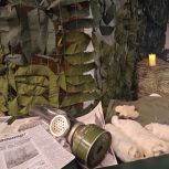 Более 70 детей из многодетных семей и семей участников СВО приняли участие в интерактивном мероприятии в честь Года защитника Отечества