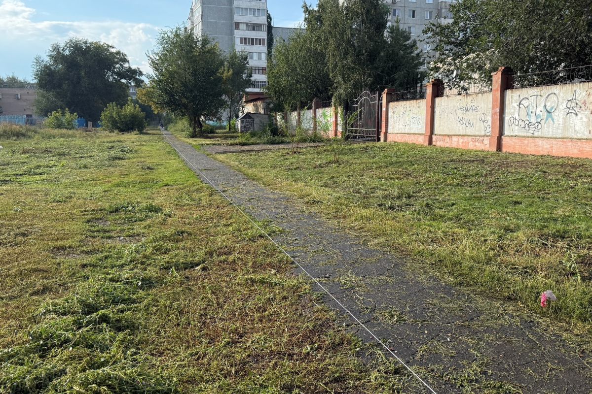 Безопасный путь к школе