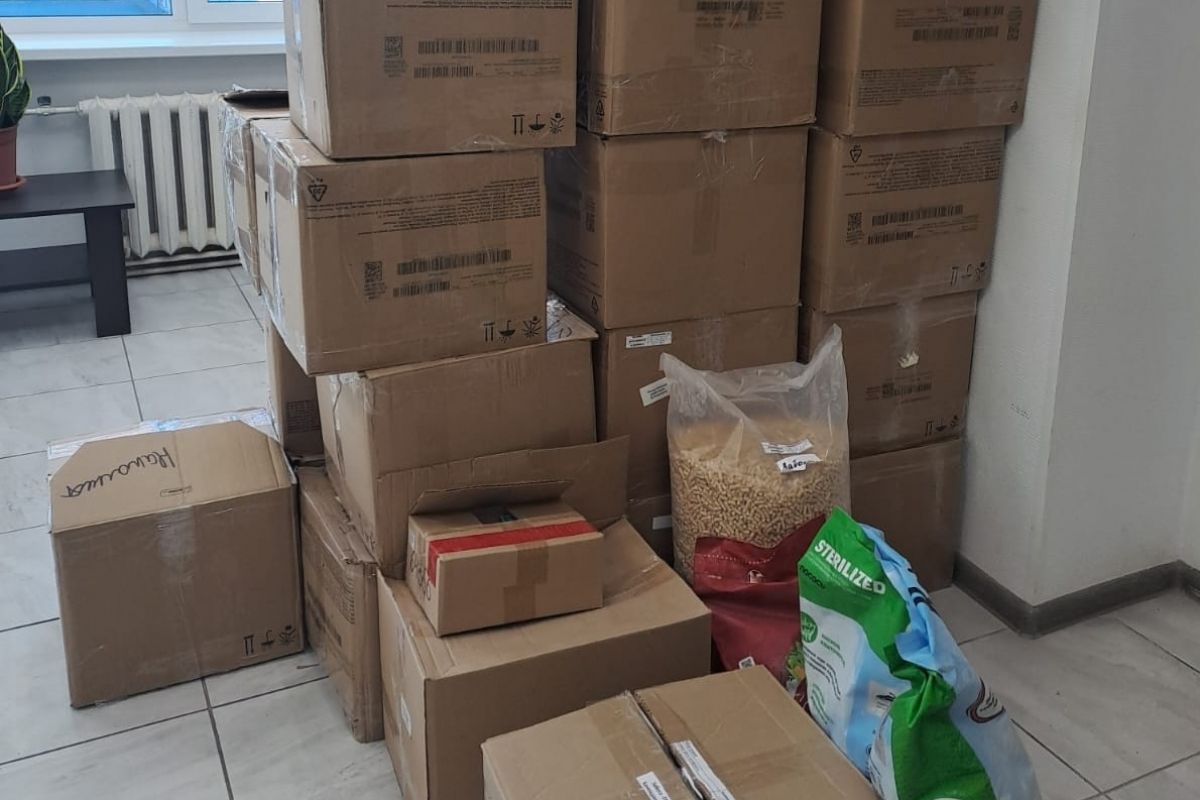 Тонну корма получат приюты для бездомных животных