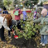 Партактивисты стали участниками экомарафона «Посади дерево»