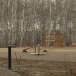 Народная программа «Единой России» подарит Завитинску «Лес памяти»