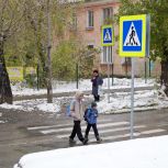 Активисты «Единой России» проверили безопасность пешеходных переходов