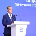 «Единая Россия» провела заседание федерального совета первичных отделений партии