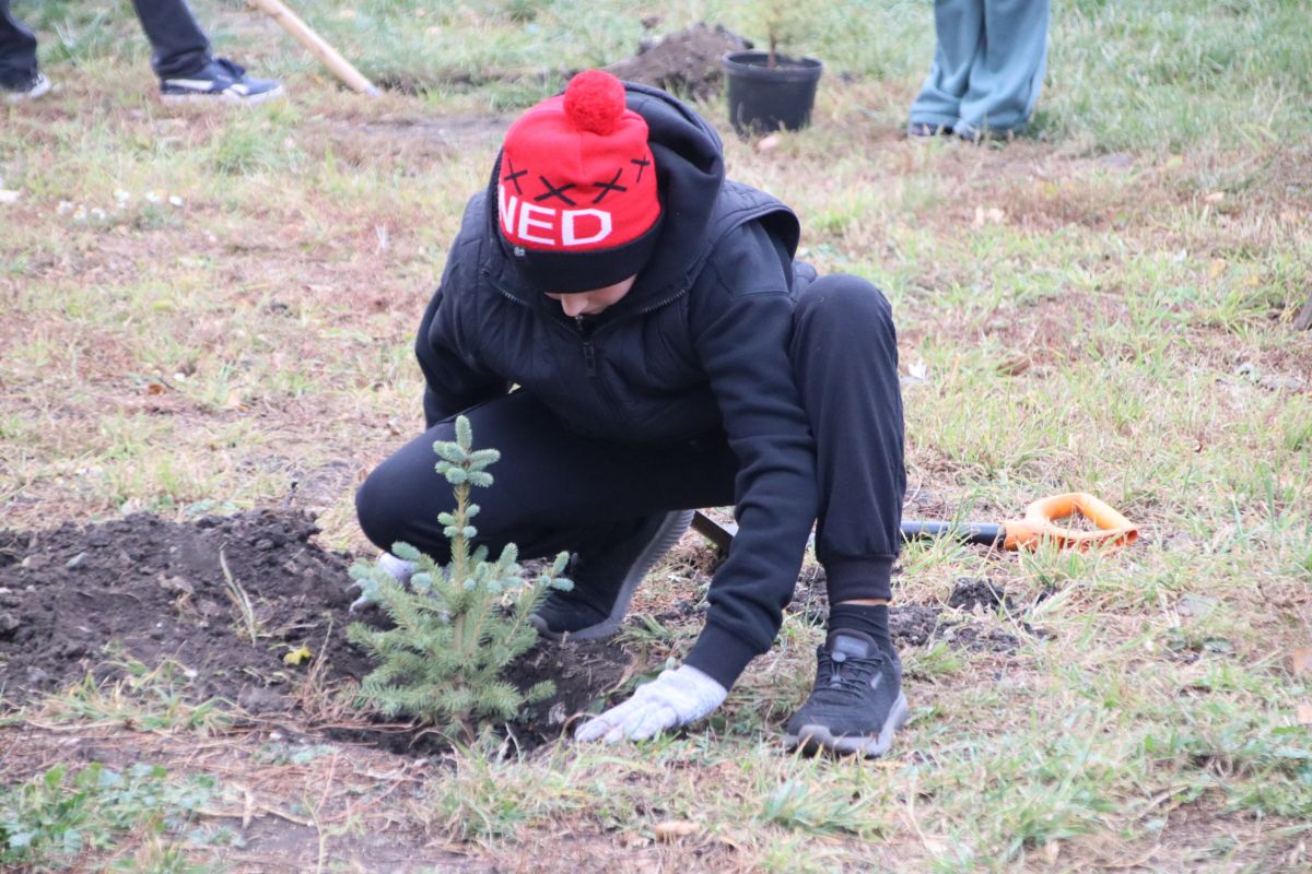 Партийцы провели акцию «Отцовский парк» в преддверии Дня отца
