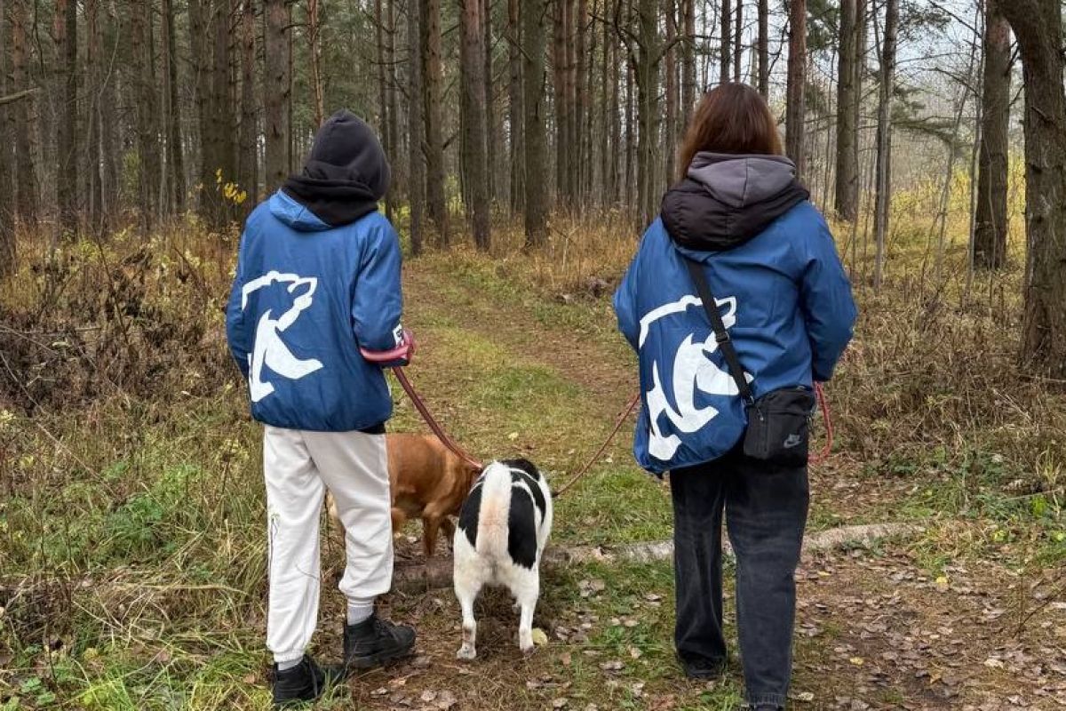 Партийные активисты вновь посетили приют для животных