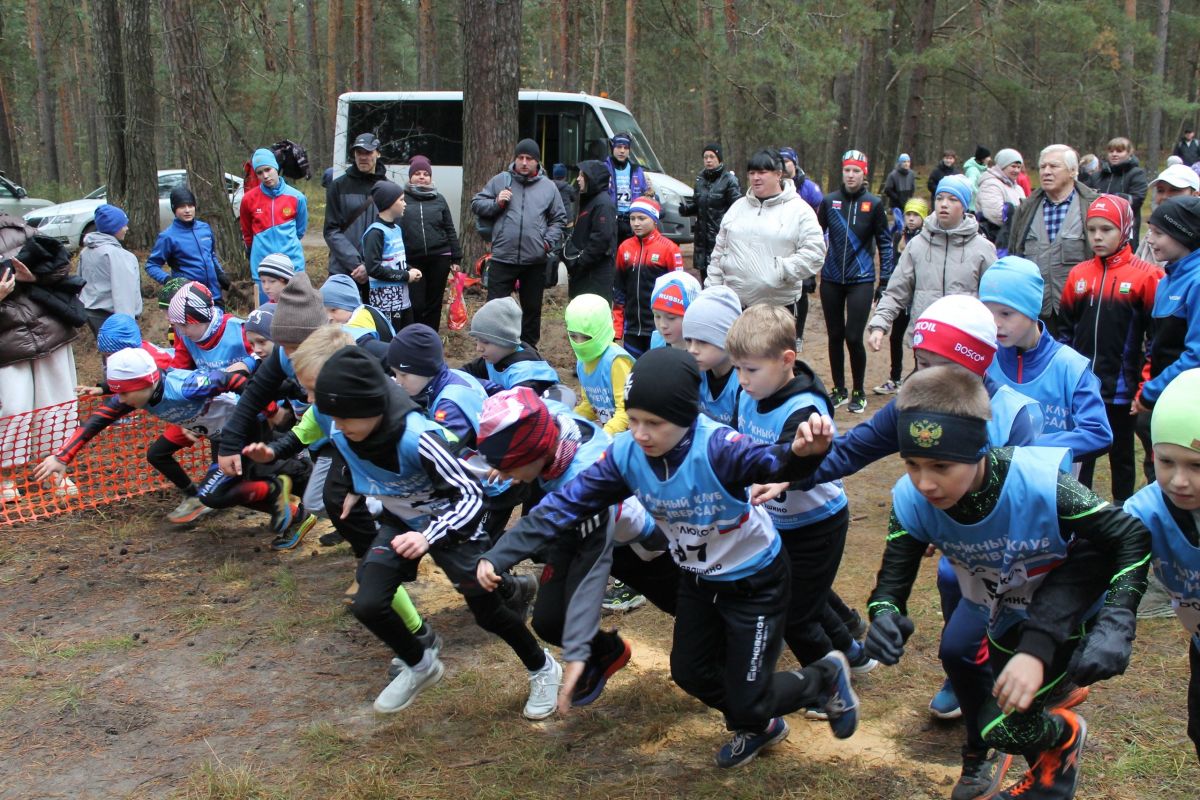 Осень лыжникам не помеха: легкоатлетический кросс прошел в городском округе Навашинский