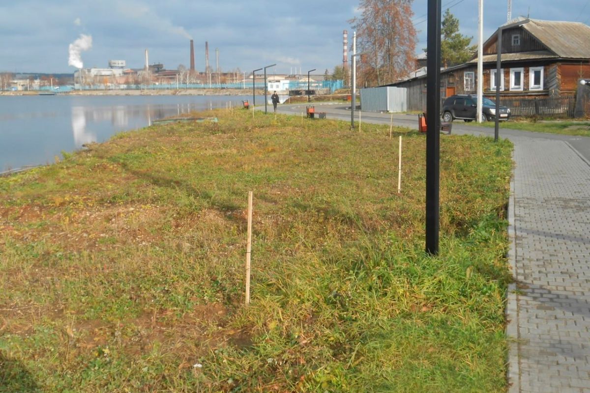 В Омутнинске продолжается озеленение