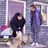 Активисты «Единой России» передали помощь приюту для животных в Удмуртии