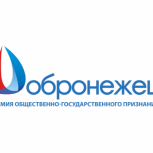 История Кантемировки заинтересовала не только воронежцев