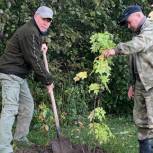 Депутат Госдумы Николай Малов принял участие в акции «Сохраним лес»