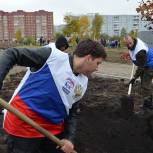 Красноярские единороссы приняли участие в акции «Аллея в подарок»