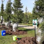 В Башкортостане в рамках проекта «Лес Победы» появилось 75 аллей Героев