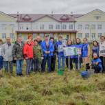 1000 молодых елей высадили в Алапаевске