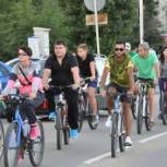 В Павловске состоятся массовые велопоездки и вело-квесты