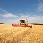 В Кабардино-Балкарии увеличился объем продукции сельского хозяйства