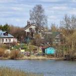 Москвичам старшего поколения на дачи начали доставлять дрова