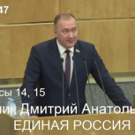 Дмитрий Белик: «Законы о наказании за призывы к отчуждению территории РФ защитят будущее наших детей и внуков»