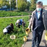 В центральном парке Козьмодемьянска посадили молодые деревья