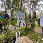 В Королеве партийцы приняли участие в акции «Наш лес. Посади свое дерево»
