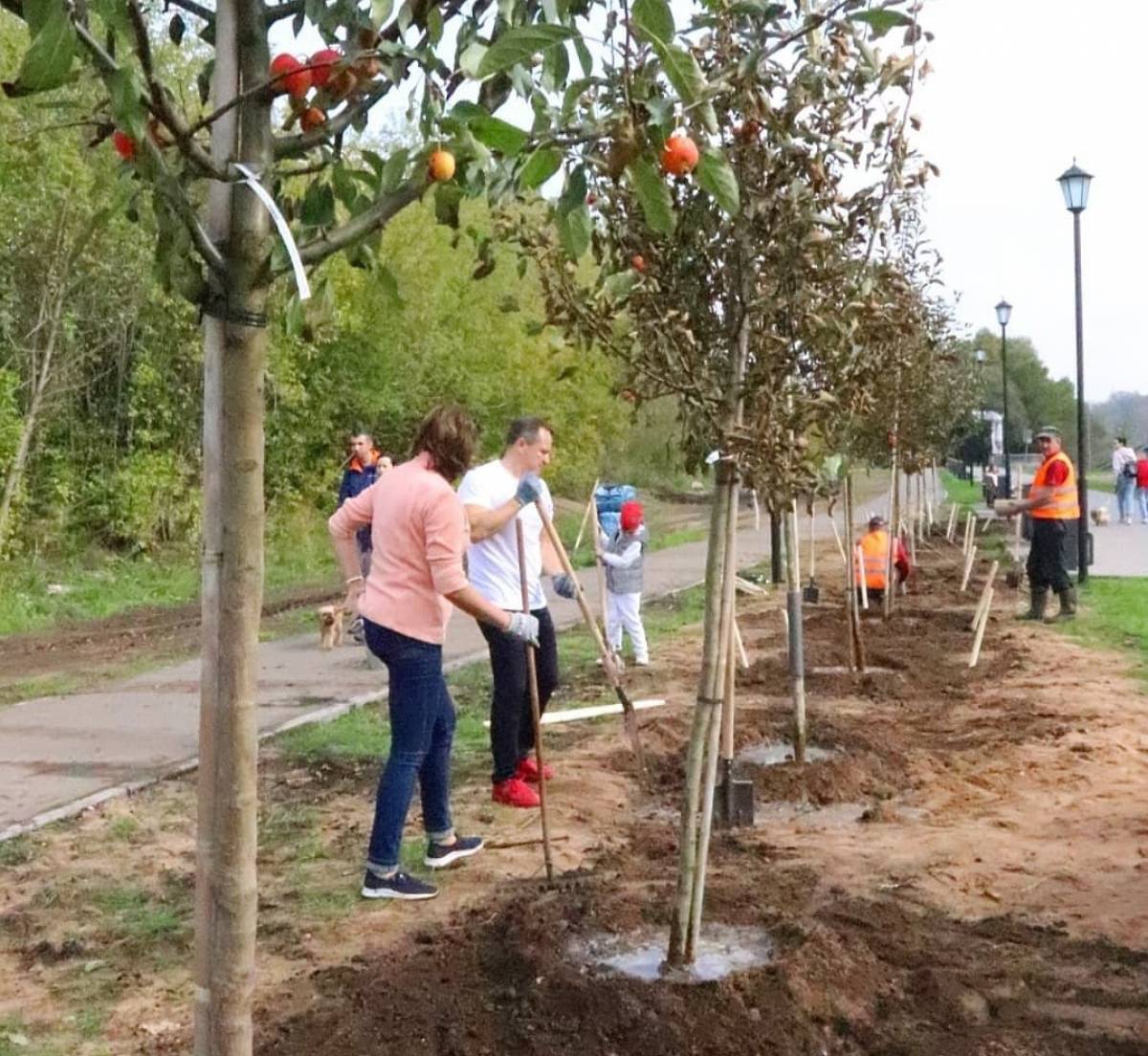 В Иванове перед Самойловским мостом появится Аллея врачей