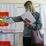 Выборы в Госдуму проходят чисто, открыто и свободно - Чеснаков