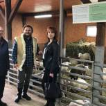 Истринские активисты обсудили пути развития агропромышленного комплекса на территории городского округа